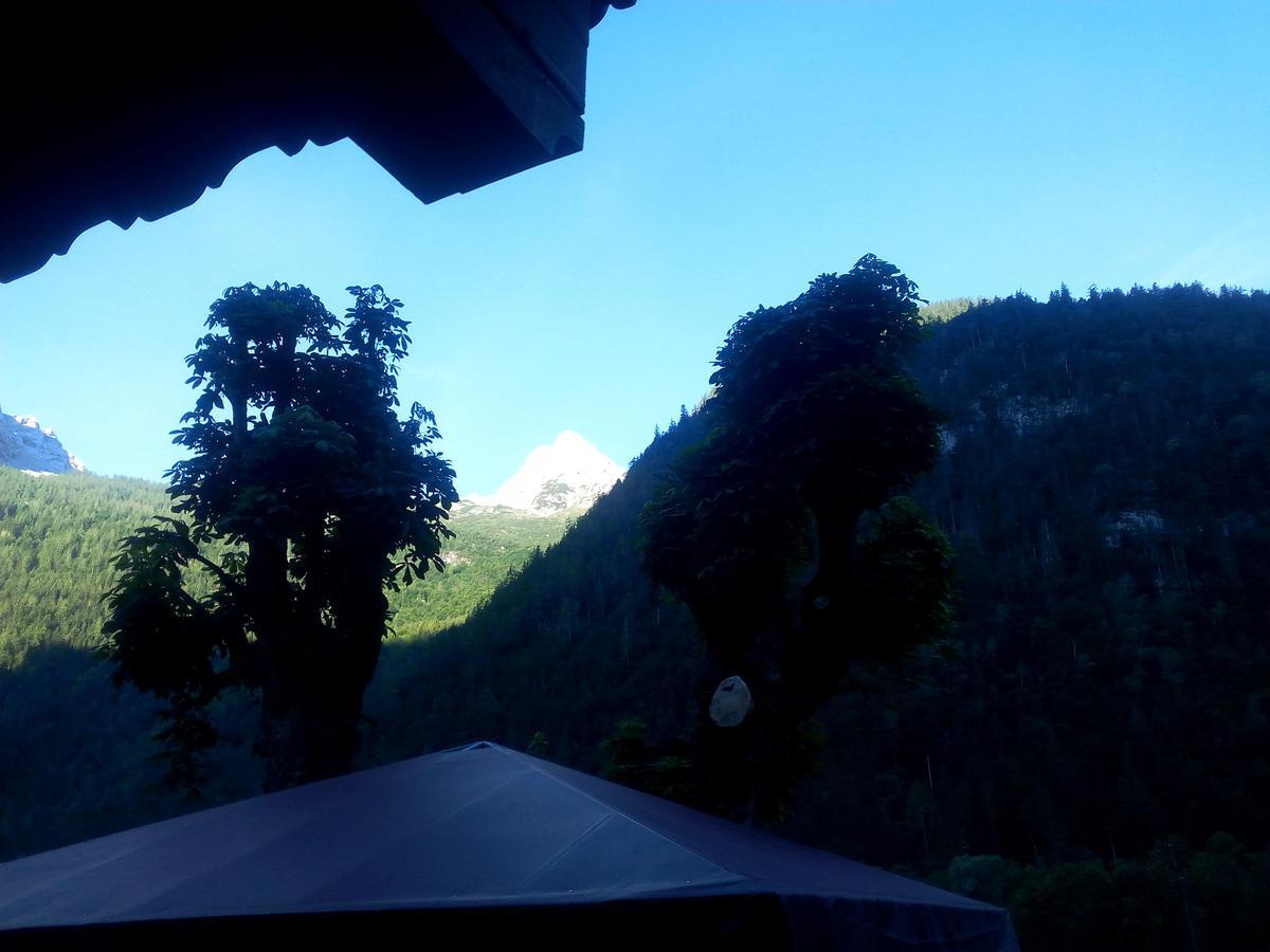 Gasthof-Pension Frohnwies Вайсбах-бай-Лофер Екстер'єр фото