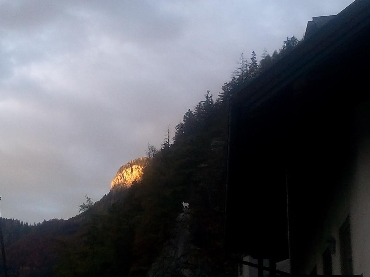 Gasthof-Pension Frohnwies Вайсбах-бай-Лофер Екстер'єр фото